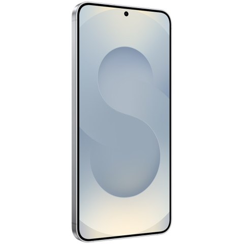 SAMSUNG Galaxy S25 12/256GB Srebrny Shadow