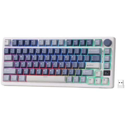 ROYAL KLUDGE RK-M75 Ocean Blue Gaming Keyboard K Sliver switch
