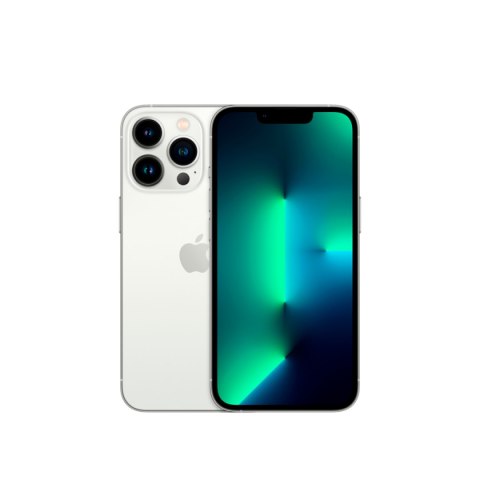 APPLE iPhone 13 Pro 256GB Silver, Grade B