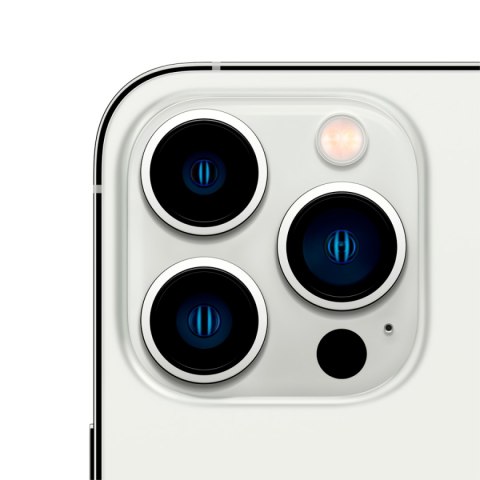 APPLE iPhone 13 Pro 256GB Silver, Grade B