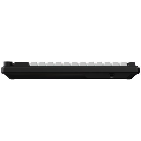 LORGAR Gaming Keyboard KBA41M Advanced Wired 65% Black EN
