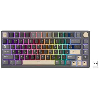 ROYAL KLUDGE RK-M75 Phantom Gaming Keyboard K Silver switch