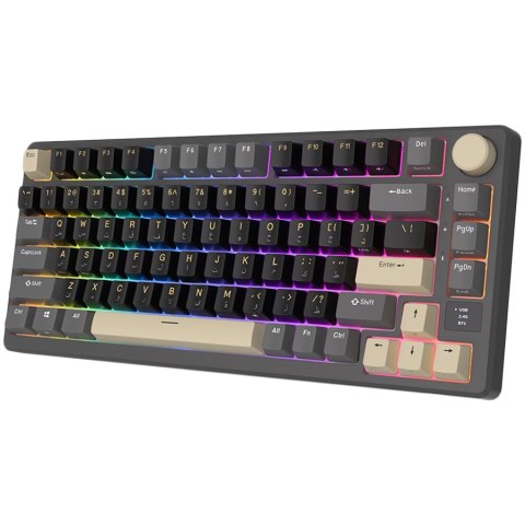 ROYAL KLUDGE RK-M75 Phantom Gaming Keyboard K Silver switch