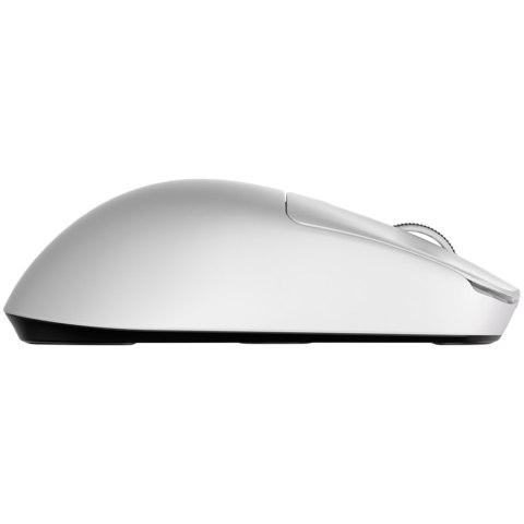 ROYAL KLUDGE M3 Panda Gaming Mouse PAW 39508K