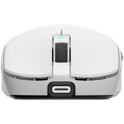 ROYAL KLUDGE M3 Panda Gaming Mouse PAW 39508K