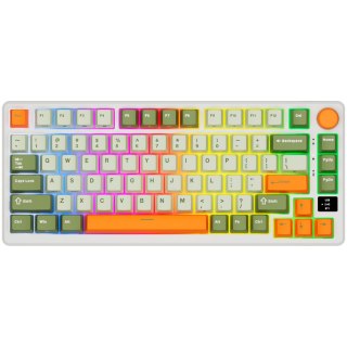 ROYAL KLUDGE RK-M75 Slate Cyan Gaming Keyboard Beige switch