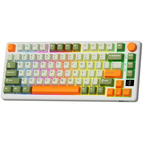 ROYAL KLUDGE RK-M75 Slate Cyan Gaming Keyboard Beige switch